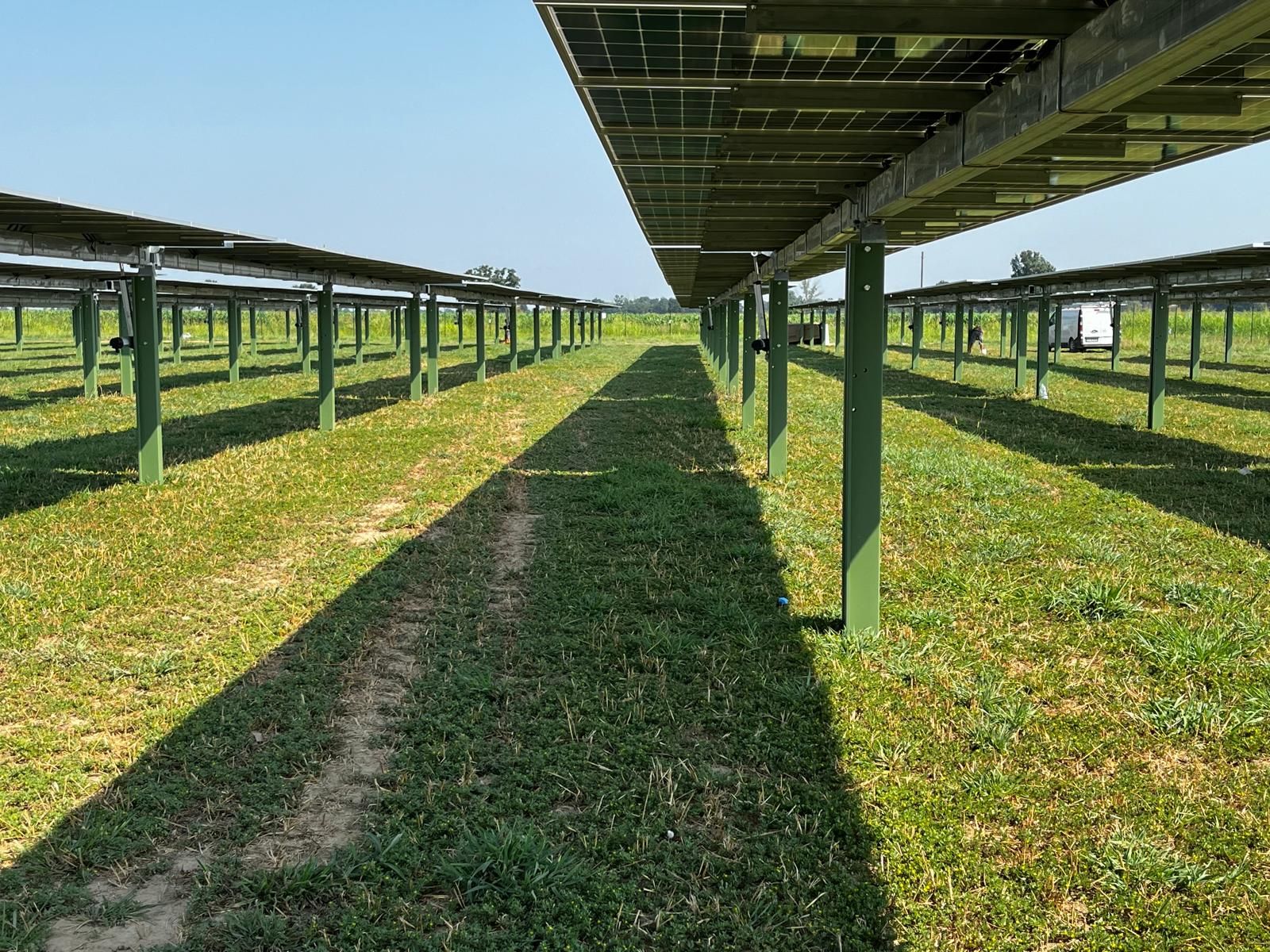 Campo fotovoltaico con tracker TA